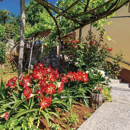 Beautiful In With House Sea View Holiday home Lovran